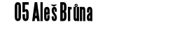 05 Aleš Brůna